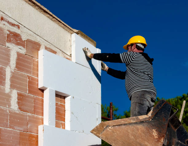 Best Residential Insulation in Campbell, MO