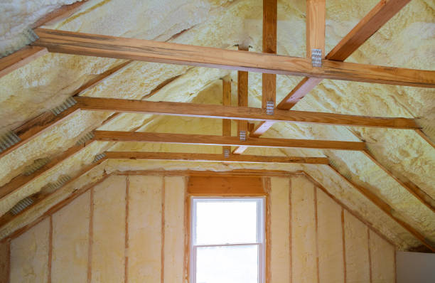 Best Specialized Insulation Services in Campbell, MO