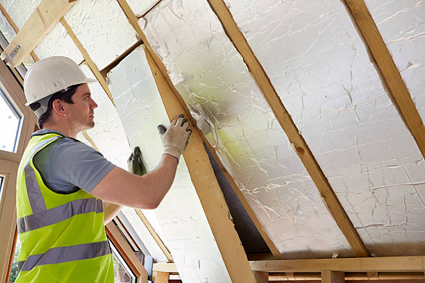 Best Insulation Maintenance and Repair in Campbell, MO